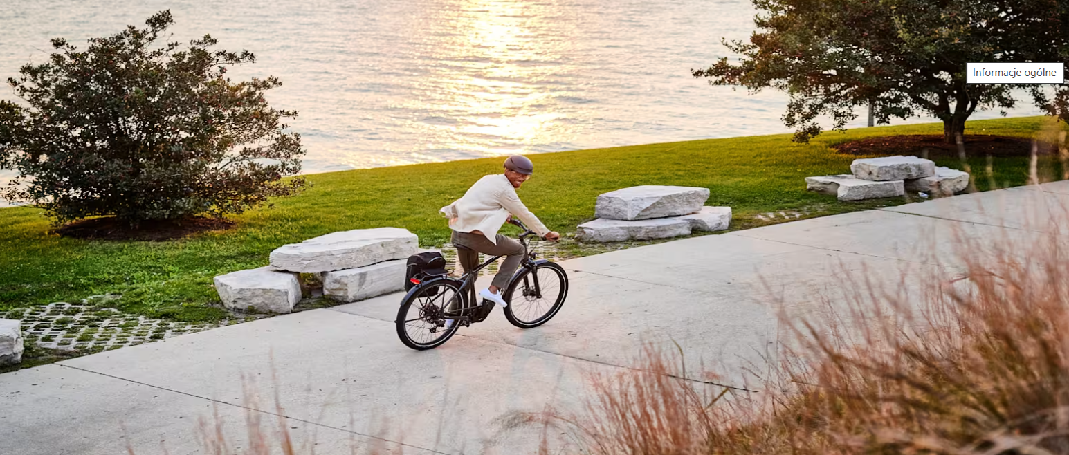 Rower elektryczny TREK Allant+ 7 Gen 2 Lithium Grey 2025 alant_